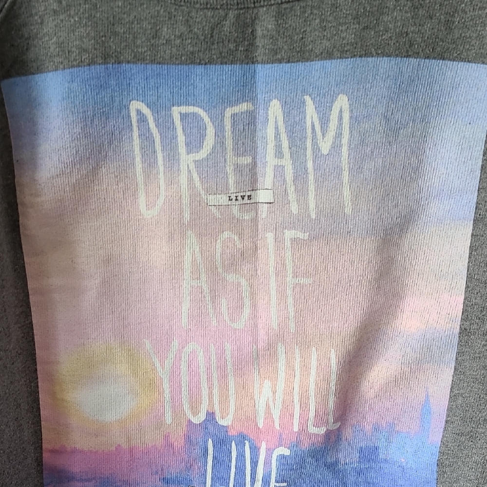 Glamour Kills Gray Crew Neck Sweatershirt Dream As If You Will Live Forever XL - Picture 3 of 10